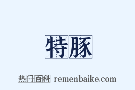 特豚是什么意思的图片